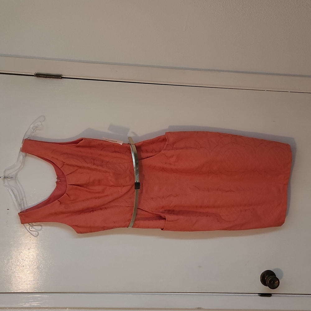 Never worn, beautiful peach colored dress with pockets!